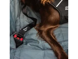 Popruh Mountain Paws Dog Seat Belt